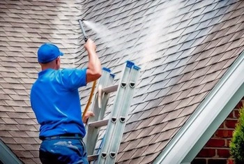 About People Helping People roof cleaning with ladder access