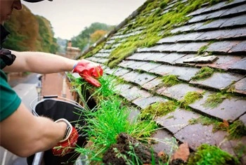 About People Helping People removing moss from roof shingles