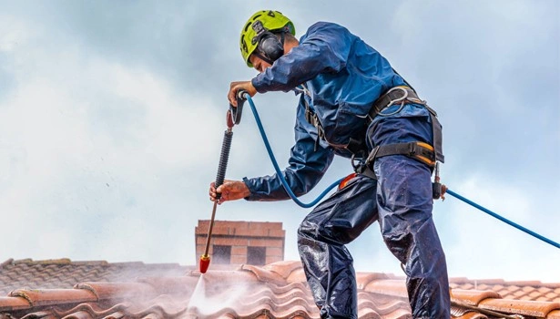 About People Helping People roof washing service in Hinesville GA